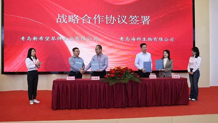 LETOU - 乐投(中文)官方网站